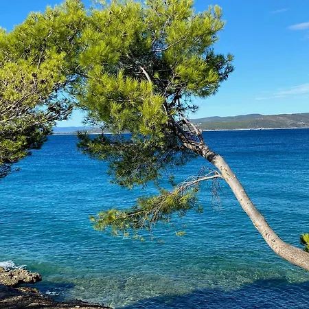 Olive Garden شقة *